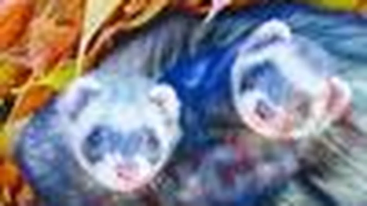 Animale de companie exotice