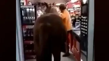 Imaginile sunt uluitoare! A intrat cu un cal într-un supermarket din Buzău și... VIDEO