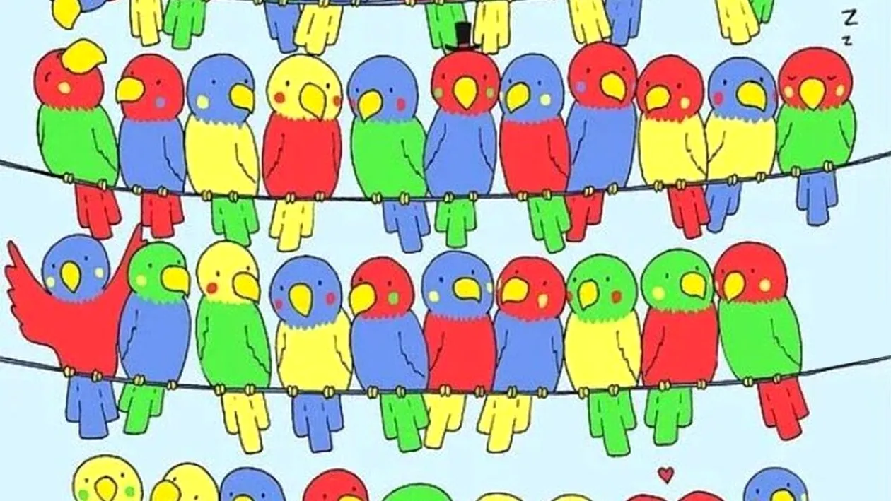 Test IQ exclusiv pentru genii | Identificați singurul papagal fără pereche!