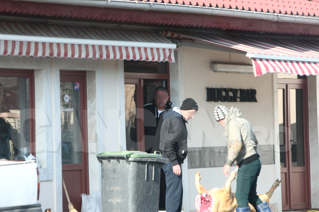 La barul "Buggy", unde verii Becali jucau table pe vremuri, s-a tăiat porcul