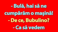 BANC | Bulă, Bubulina și noua mașină