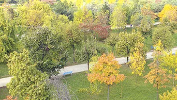 Si voi puteti salva Parcul Tineretului!