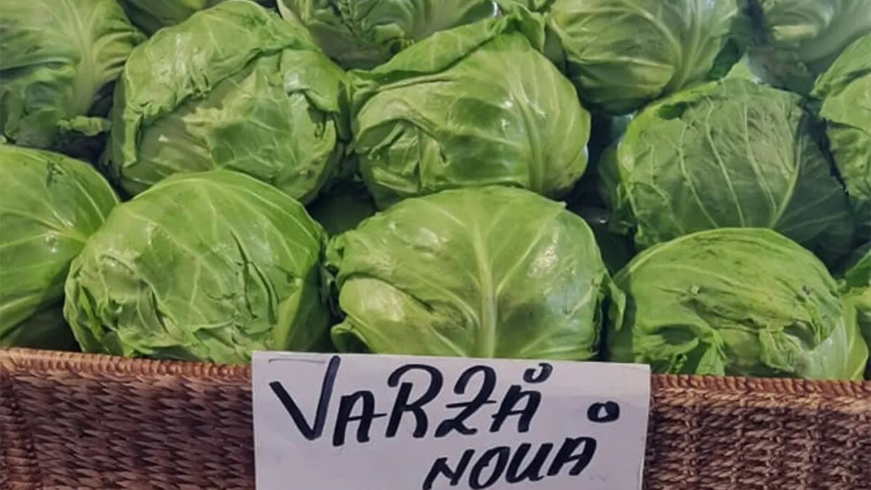 De necrezut! Câți lei costă 1 kilogram de varză nouă în piețele din România