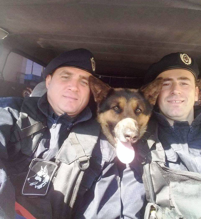 Chiar dacă nu au grade, câinii sunt colegi de nădejde ai  jandarmilor băcăuani