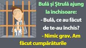 BANC | Bulă și Ștrulă ajung la închisoare