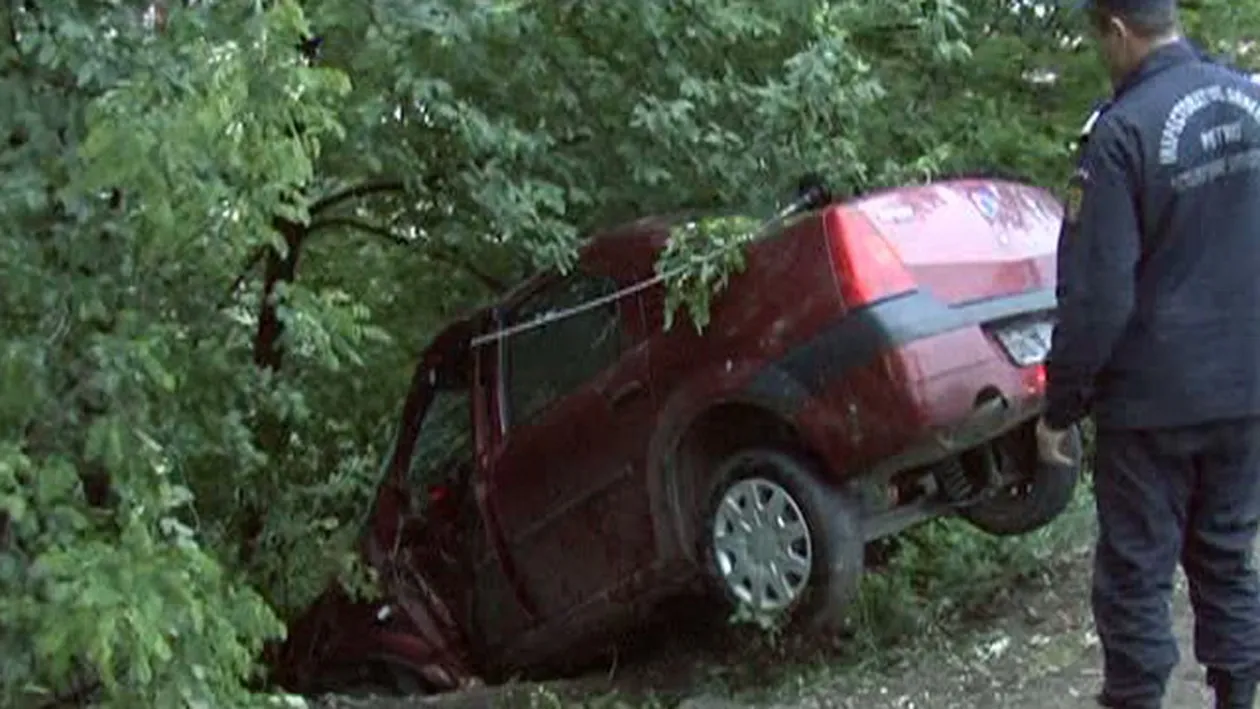 Au scapat ca prin minune! Au smuls un copac din radacina, dar nu au patit nimic!