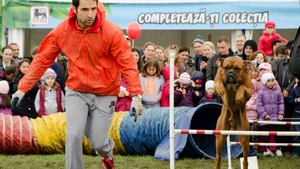 Tudy, fostul amant al Oanei Zavoranu, a ajuns la munca de jos! Uite ce transpira cu roaba in mana!