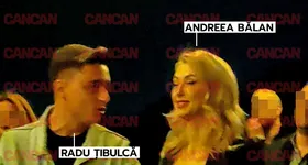 Galerie foto - poza 3