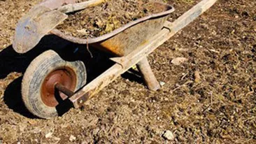 Peste 20 de tone de ingrasaminte chimice, descoperite de politisti intr-un autocamion, in Suceava