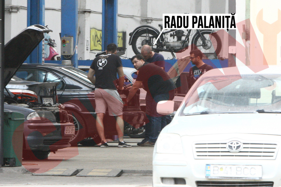 Radu Palaniță, câștigătorul 