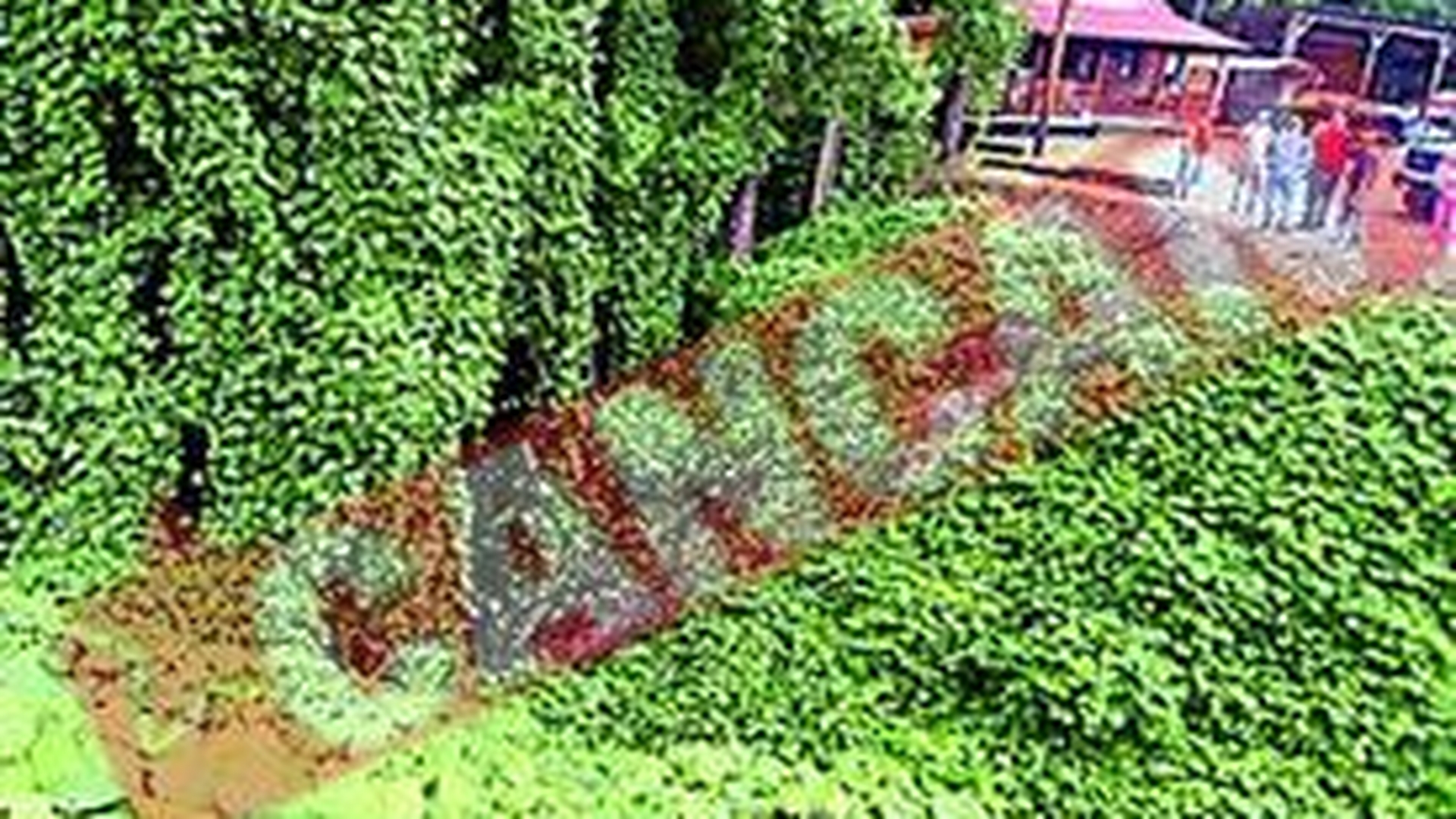 A supravietuit cinci zile sub o masina