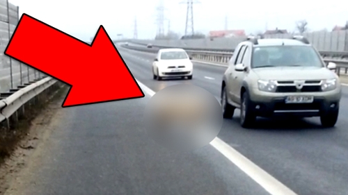 Aparitie ULUITOARE pe autostrada Bucuresti-Pitesti! Toti soferii si-au facut cruce cand au vazut ASTA in mijlocul strazii