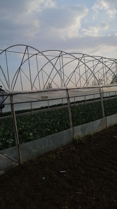 De Paște, mai multe case din Olt au rămas fără acoperișuri din cauza vijeliei