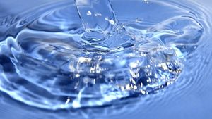 Animalul care NU bea apă de la naștere până la moartea sa. Cum reușește să supraviețuiască