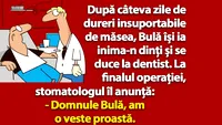 BANC | Bulă își ia inima-n dinți și se duce la dentist