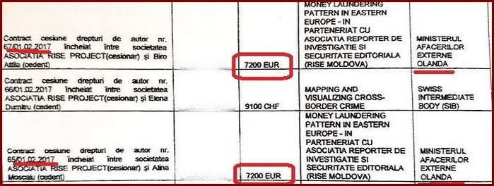 Soros şi Guvernul Olandei, finanţatorii Rise Project: Florin Bădiţă pe lista celor care au primit bani
