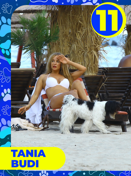 Top 25 vedete care și-au etalat costumele de baie, dar cățeii lor au făcut senzaţie! Delia, Bianca Drăgușanu sau Lora, eclipsate de patrupezi la malul mării