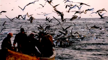 Delta Dunării: între gheață și speranță. Douăzeci de ani de supraviețuire la capătul hărții