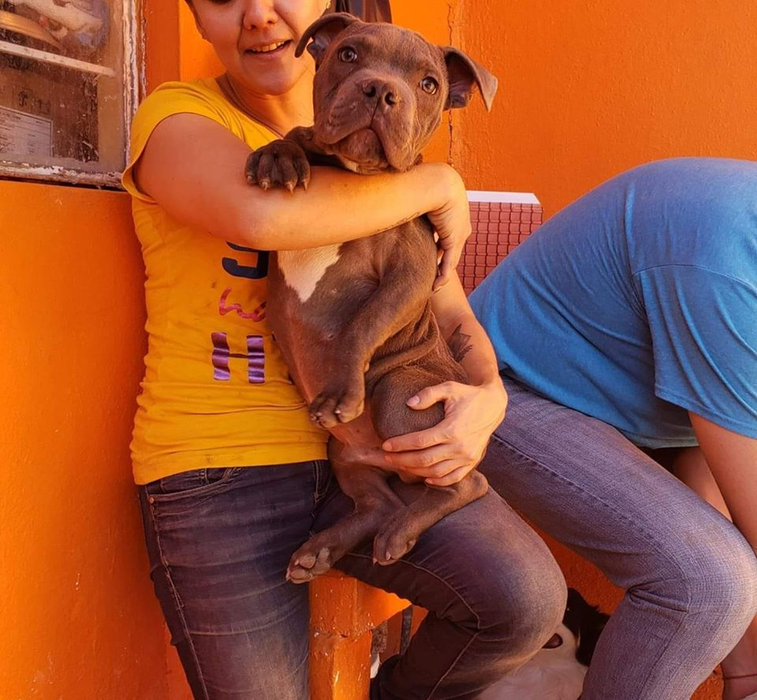 Poveste sfâșietoare! Un băiat de 12 ani şi-a abandonat câinele la un adăpost de animale. Ce a scris în biletul pe care l-a lăsat lângă patruped