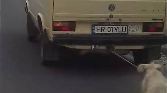 Un șofer din Harghita și-a legat câinele de mașină și la târât pe șosea! Imagini înfiorătoare