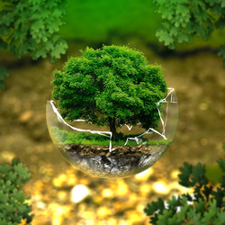 Imagine Galerie #3
