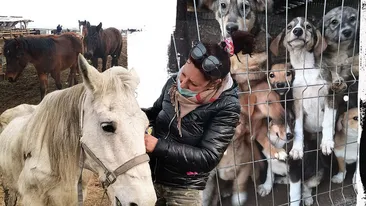 A muncit în străinătate, iar cu banii câștigați a salvat 600 de câini și 100 de cai și măgăruși