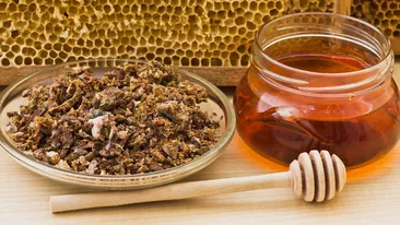 Proprietăţile propolisului, antibioticul natural care tratează numeroase boli