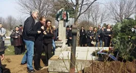 Galerie foto - poza 2