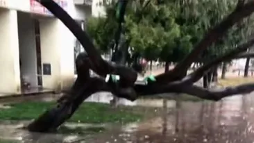 De necrezut unde și-a parcat trotineta electrică un tânăr din Iași! Imaginile au devenit virale în toată România