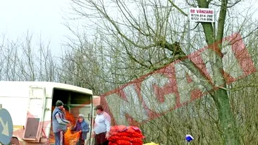 Statie RATB transformata in piata volanta