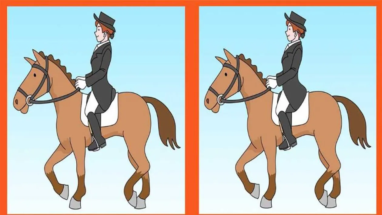 Test de perspicacitate | 3 diferențe în maximum 31 de secunde: Le puteți identifica pe toate?