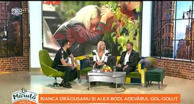 Galerie foto - poza 2