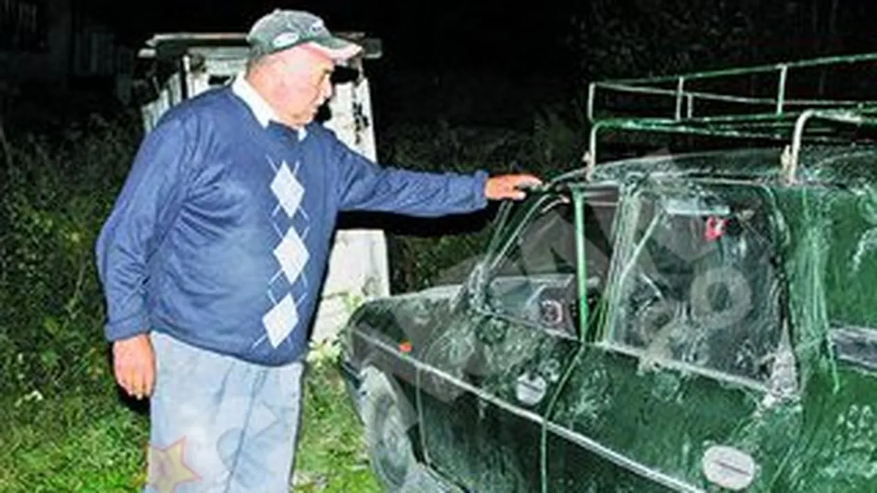 Innebunit de mirosul de zmeura, care venea din portbagaj! Un urs a devastat o Dacia 1300