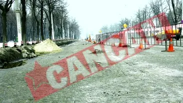 Bulevardul Aviatorilor, ciuruit