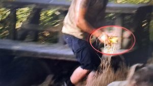 Concurent de la "Sunt celebru, scoate-mă de aici", prins la FURAT în Republica Dominicană. Ce face foamea din oameni, la Pro TV!