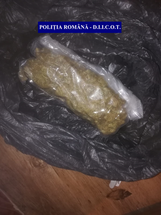 Captură uriașă la Călărași și Constanța: cannabis, arme și muniție și zeci de mii de euro! FOTO