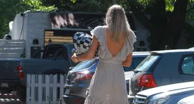 Galerie foto - poza 4