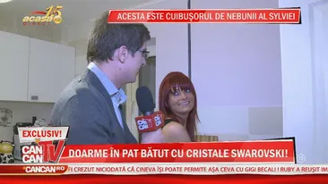 Imagini de senzaţie din apartamentul Sylviei! Doarme în pat bătut cu cristale Swarovski, dar stă cu păianjenii morţi pe perete!