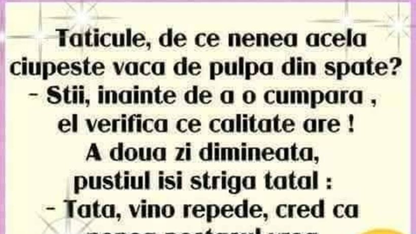 BANCUL ZILEI | De ce se ciupesc vacile de pulpa din spate?