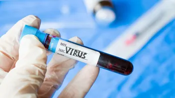 Virus transmis de rozătoare! Ce este hantavirusul și cât de periculos poate deveni