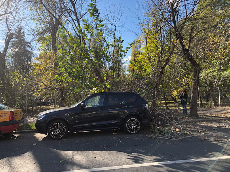 Vântul puternic a doborât un arbore din Capitală. Pomul a căzut fix pe o…