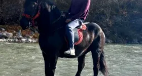 Galerie foto - poza 4