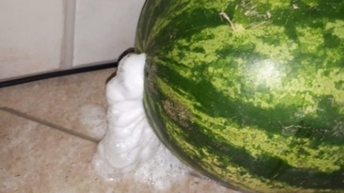 A cumpărat un pepene, în Piatra Neamţ. A ajuns acasă, i-a făcut „dop”, dar… surpriză! Au început să iasă spume. Când a aflat de ce, a rămas mut…