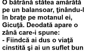 BANC | O bătrână găsește zâna fermecată: "Fiindcă ai un suflet bun, îți voi îndeplini 3 dorințe"