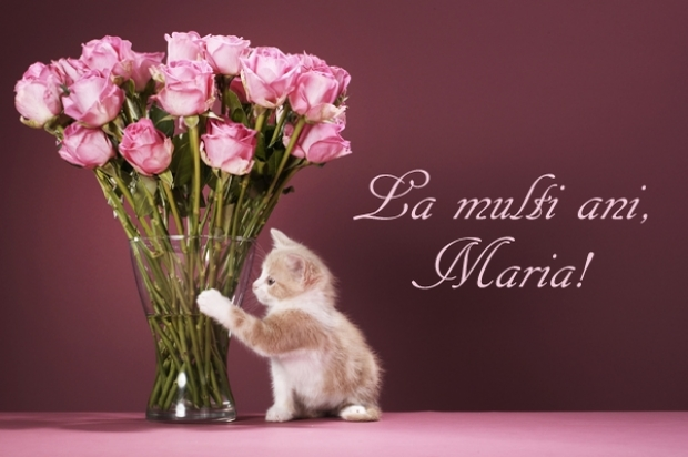 Felicitări de Sfânta Maria. 1.398.464 de femei poartă numele de Maria