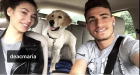 Galerie foto - poza 3