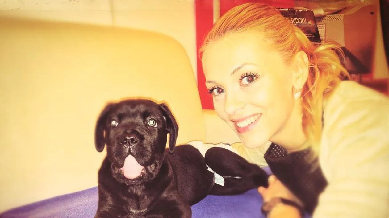 Iti vine sa crezi? Andreea şi Cabral i-au pus pampers câinelui pentru a nu-şi face nevoile în casă