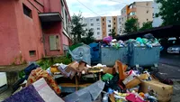 O româncă riscă să fie amendată pentru că a strâns gunoiul de pe stradă la Roma