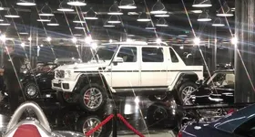 Galerie foto - poza 1