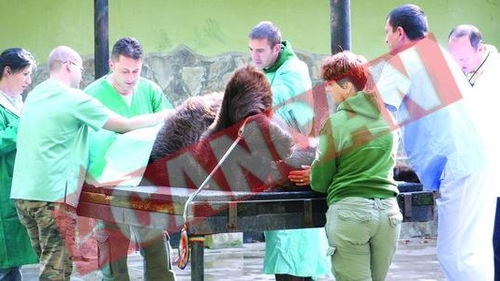 Operatii in premiera la gradina zoologica